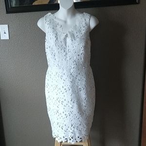 LOFT Lace Midi Dress